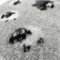 Pawstrading™ Anti-Slip Backed Veterinary Fleece Bedding Dog Bed / Mat GREY SHEEP