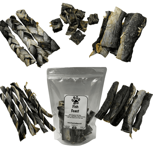 Pawstrading Fish Feast Bundle - Natural Fish Skin Pnagasius Dog Chew Treat