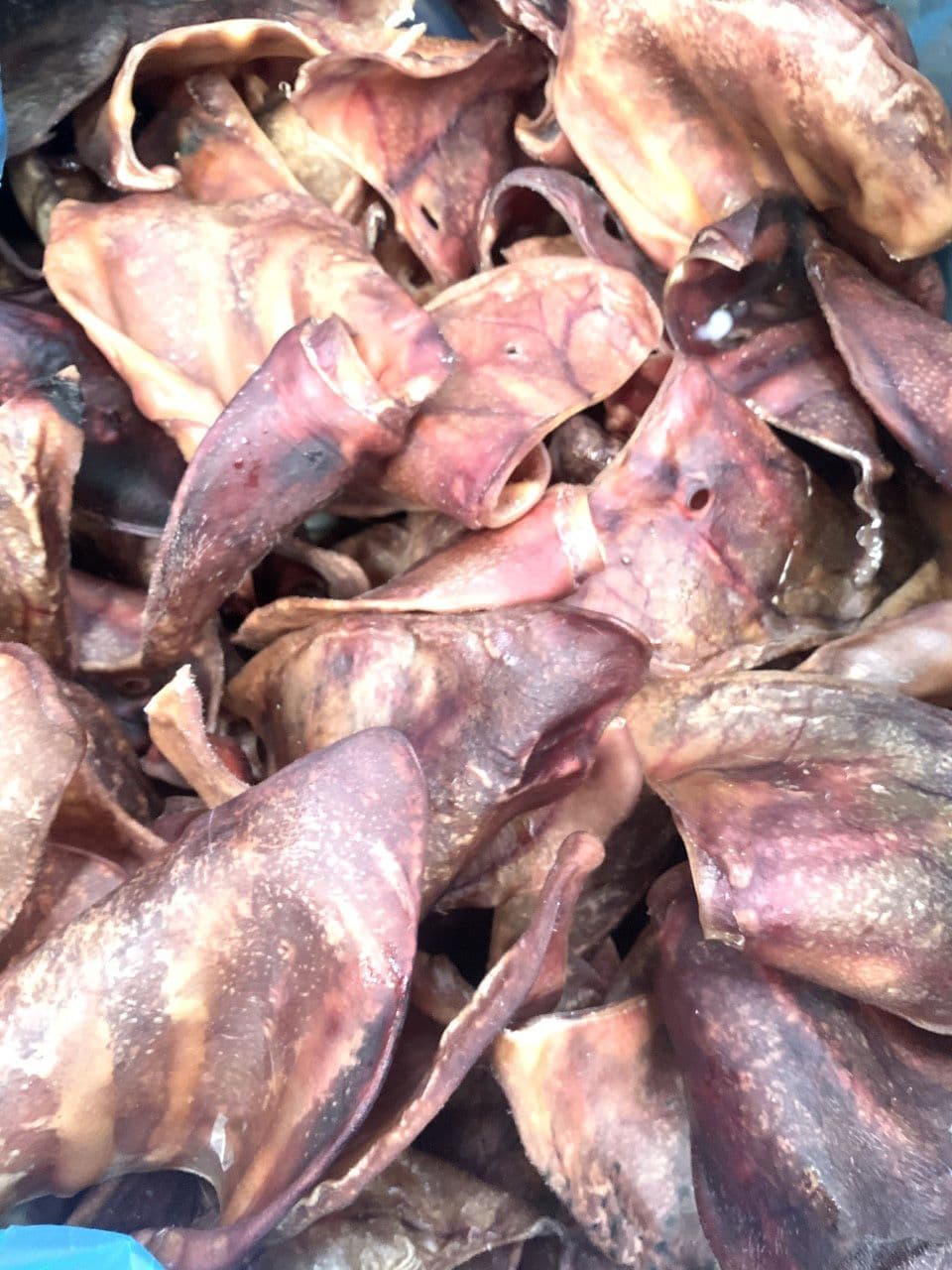 Pawstrading Grade A Pig Ears Super Quality