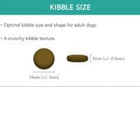 Pawstrading ™ GRAIN FREE Adult Haddock with Sweet Potato & Parsley - Whole dog food Dry Kibble