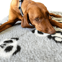 Pawstrading™ GREY PANDA Anti-Slip Backed Veterinary Fleece Bedding Vet Bed Mat