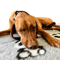 Pawstrading™ GREY PANDA Anti-Slip Backed Veterinary Fleece Bedding Vet Bed Mat