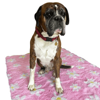 Pawstrading™ PINK with YELLOW DAISY Anti-Slip Backed Veterinary Fleece Bedding Vet Bed Mat