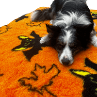 Pawstrading™ Premium Autumnal  HALLOWEEN Orange Bat Leaf Anti-Slip Backed Vet Bedding Fleece Bed