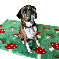 Pawstrading™ Premium Green ToadStool Anti-Slip Backed Veterinary Vet Fleece Bedding Bed