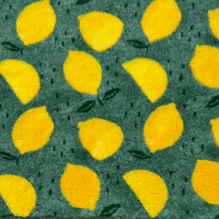 Pawstrading™ Premium LEMON Design Yellow Green Anti-Slip Backed Vet Bedding Fleece Bed