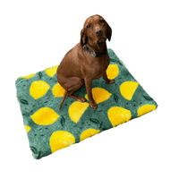 Pawstrading™ Premium LEMON Design Yellow Green Anti-Slip Backed Vet Bedding Fleece Bed