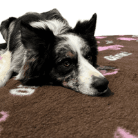 Pawstrading™ Premium PIG Oink BROWN Anti-Slip Backed Veterinary Fleece Bedding Vet Bed