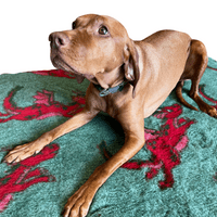 Pawstrading™ Premium RED DRAGON + GREEN Malb Anti-Slip Backed Veterinary Fleece Bedding Vet Bed