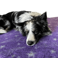 Pawstrading™ Premium Shooting STAR PURPLE Anti-Slip Backed Vet Bedding Fleece Bed