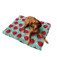 Pawstrading™ Premium STRAWBERRY Design Red Green Anti-Slip Backed Veterinary Vet Bedding Fleece Bed