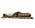 PetLife Non-Slip Vetbed® with Duo Paw Prints Dog Bed / Mat