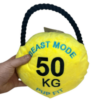 Pupfit Kettle Bell Large Crinkle Squeak Plush & Rope Dog Toy