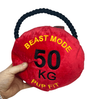 Pupfit Kettle Bell Large Crinkle Squeak Plush & Rope Dog Toy