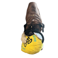 Pupfit Kettle Bell Large Crinkle Squeak Plush & Rope Dog Toy