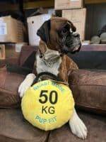 Pupfit Kettle Bell Large Crinkle Squeak Plush & Rope Dog Toy