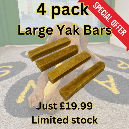 Yak Dog Chew Large Pack of 4!