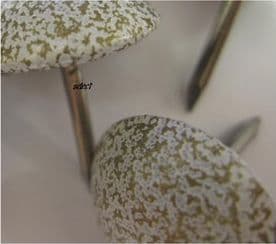 50 Upholstery nails tacks chair curtain fabric stud