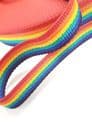Bright Rainbow Webbing 50mt Reel 25mm Wide Upholstery Sewing Craft Braid Border