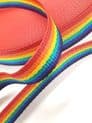 Bright Rainbow Webbing 50mt Reel 25mm Wide Upholstery Sewing Craft Braid Border