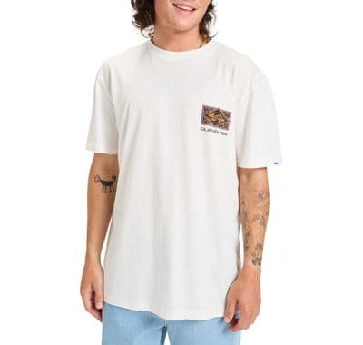QUIKSILVER MENS T SHIRT.ECO CRISIS OFF WHITE ORGANIC COTTON BACKPRINT TOP W25