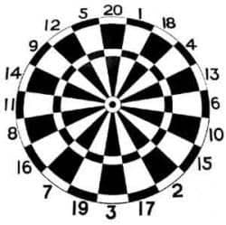 20 Archery Darts Faces 80cm