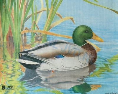 Animal Target Faces in store only