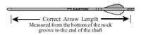 Easton X10 Made up Arrows (Matched set of 12)