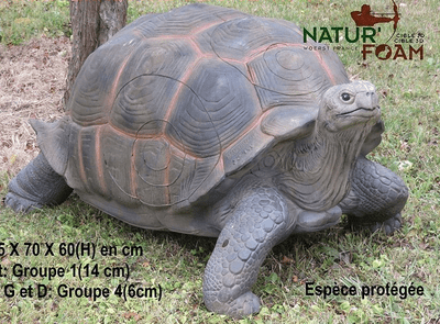 Nature Foam Giant Tortoise