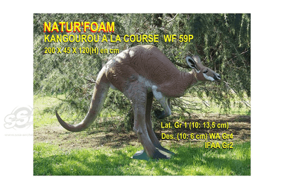 Nature Foam Kangaroo