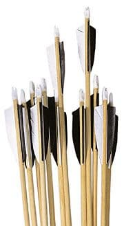 Set 12 un-spined wood arrows