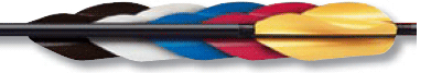 Spin-Wing Vanes (pack of 50) on closeout