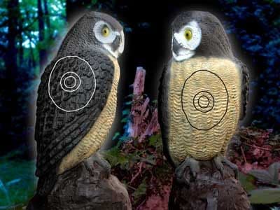 SRT Little Screech Owl