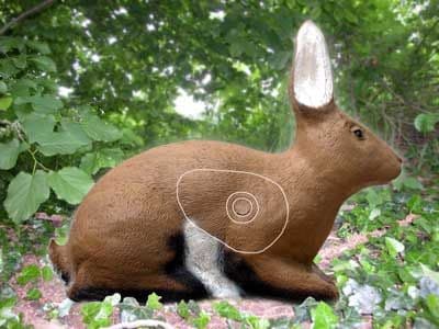 SRT Rabbit