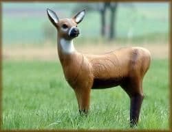 SRT Roe Deer