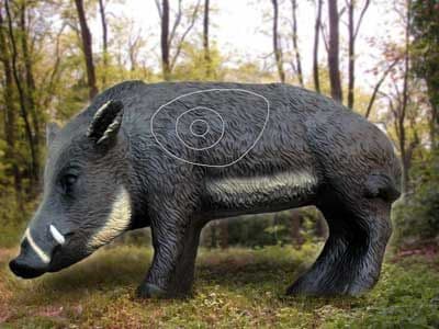 Wild Boar