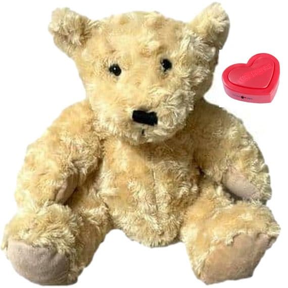 Beige Teddy Voice Recording Bear - Teddy Bear Soft Plush Toy - Personalised Bears