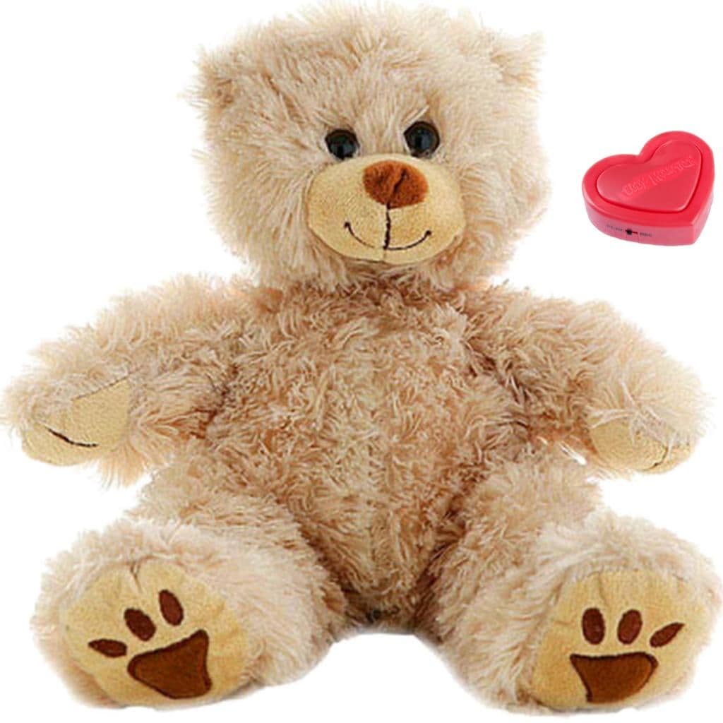Fluffy teddy Voice Recording Bear Bear Soft Plush Toy