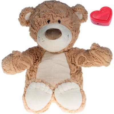 Pat The Teddy Voice Recorder