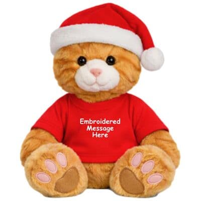 Personalised Christmas Ginger Cat