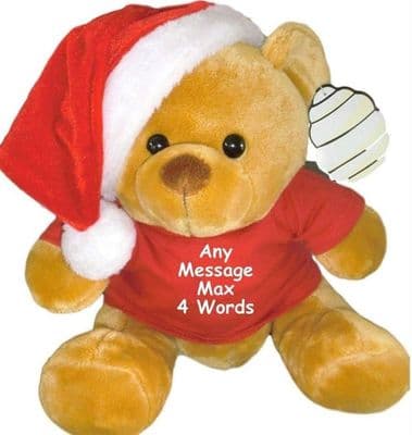 Personalised Large Christmas Teddy Bear -James