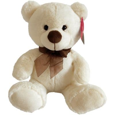 Personalised Large Teddy Bear