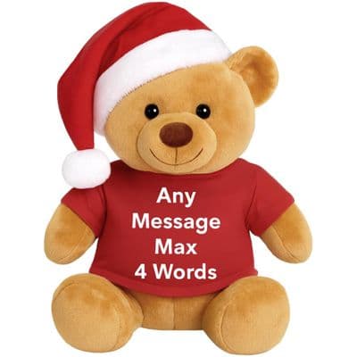 Personalised Medium Christmas Teddy -James