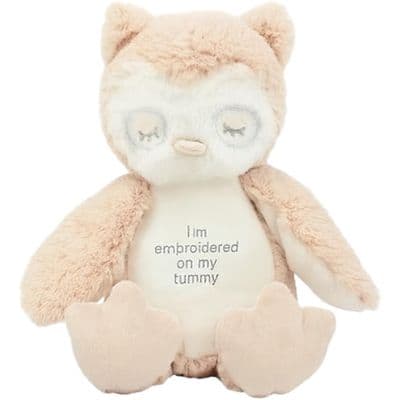 Personalised Owl Teddy - Medium