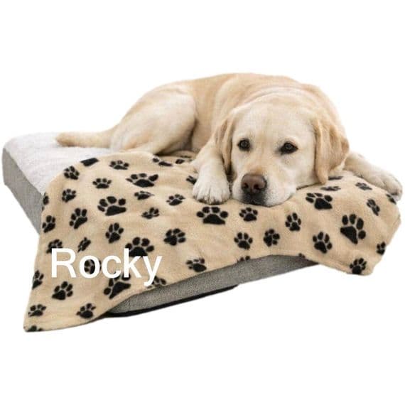 Personalised Pet Blanket - Embroidered Dog Blanket | Personalised Bears