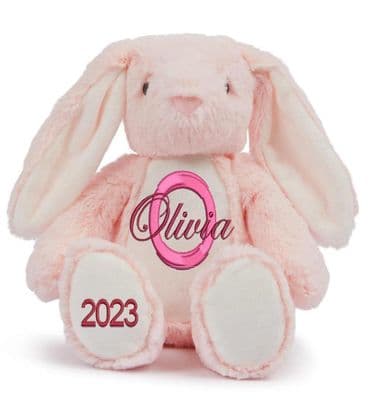 Personalised Pink Printed Teddy