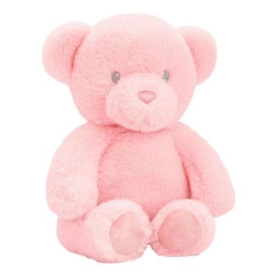 Personalised Pink Teddy Bear