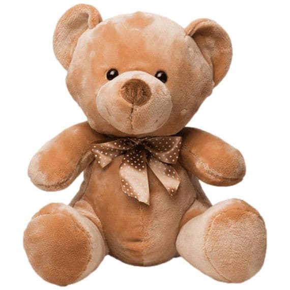 Personalised Brown Velvet Teddy - Teddy  Bears | Personalisedbears