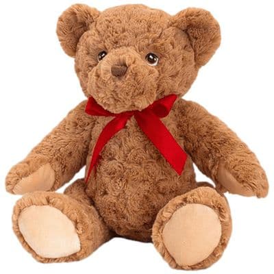 Personalised Teddy Bear - Eco Friendly -Large