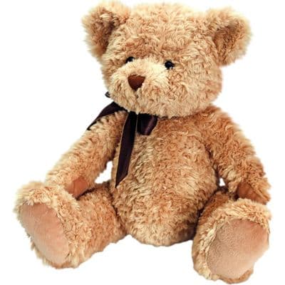 Personalised  Teddy Bear - Sherwood Large